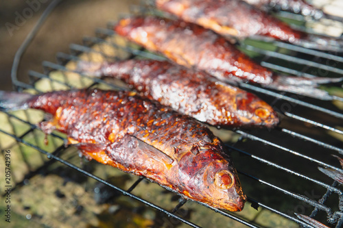 smoked fish cooked in a small smoker