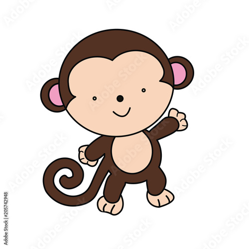 monkey for illustrations