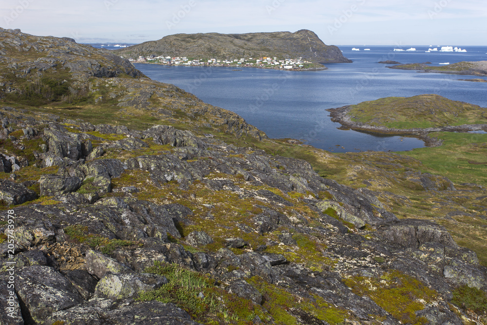 view of Town of Fogo and icebergs from rocky hill, Fogo Island, Newfoundland
