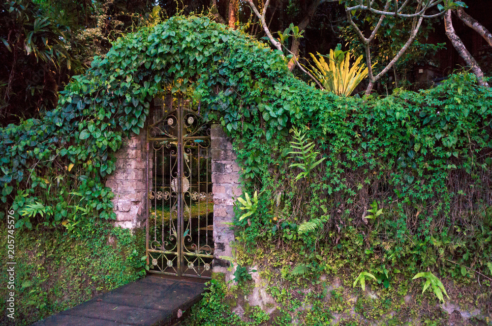 Closed gates to the tropical garden Closed gates to the tropical garden