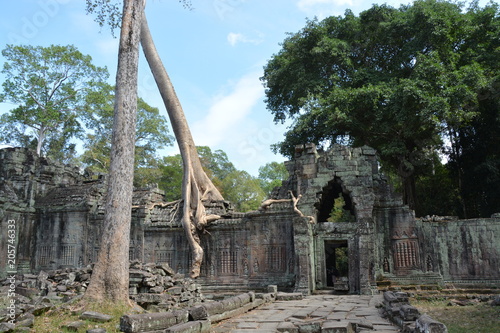 カンボジアのアンコール遺跡群～プリヤ・カーン photo