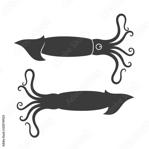Squid silhouette. Isolated squid on white background