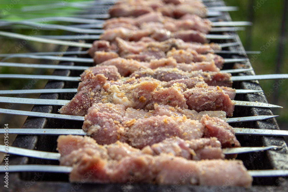Assorted delicious grilled meat with vegetables over the coals on a barbecue Assorted delicious grilled meat with vegetables over the coals on a barbecue
