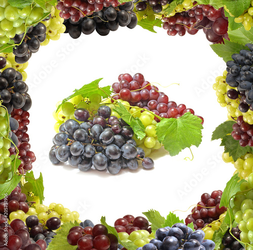 Fototapeta Naklejka Na Ścianę i Meble -  Grape fruit