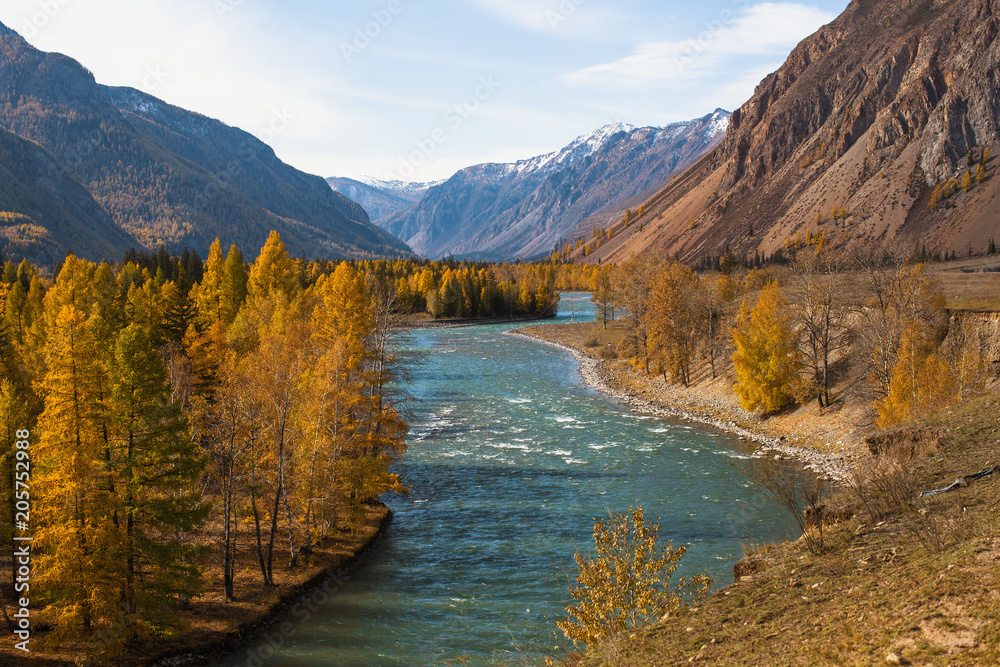 View of forest and river in the mountain North-Chuya ridge of Altai Republic, Russia.