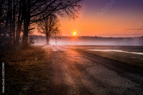 Meadow in the Lublin region. Picture taken in the spring at sunrise on a misty meadow in one of the villages in the Lublin region.