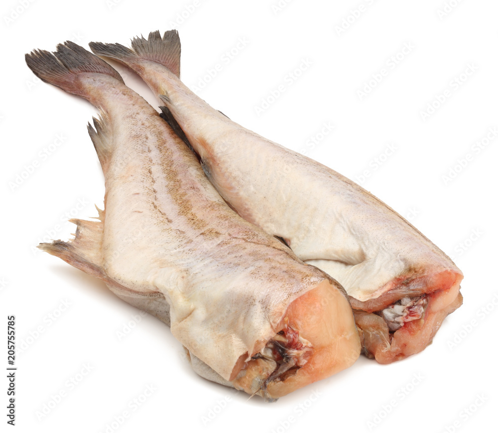 fresh pollock fish isolated on white background fresh pollock fish isolated on white background