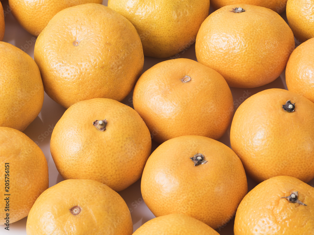 Rows of fresh yellow mandarins Rows of fresh yellow mandarins