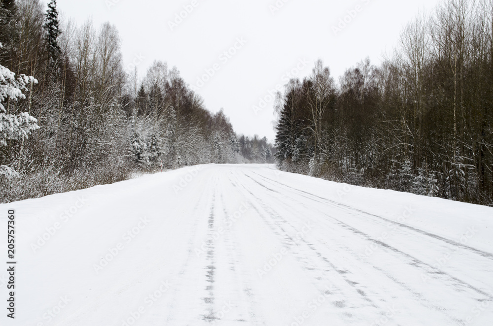 Obraz premium road in the woods in winter