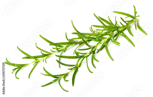 fresh rosemary isolated on white