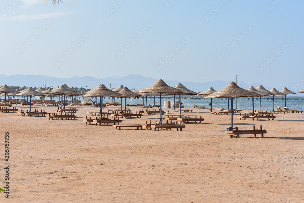 Fototapeta premium Beach on the shore of the Red Sea, summer vacation, tourism