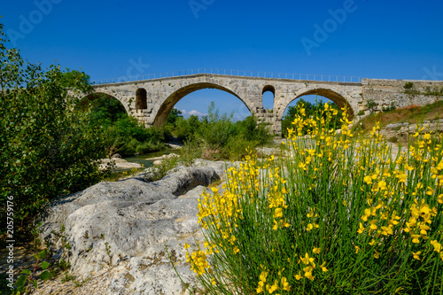 Obraz na płótnie Ancien pont romain - Pont Julien au printemps. Provence, France. Fleurs de genêts au premier plan. w salonie