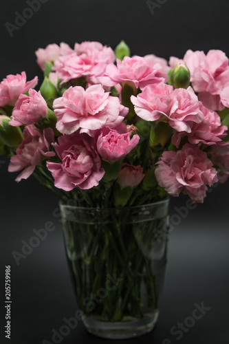 Fototapeta Naklejka Na Ścianę i Meble -  Pink carnations isolated on black background