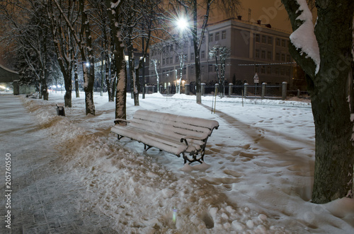 in the city park in winter