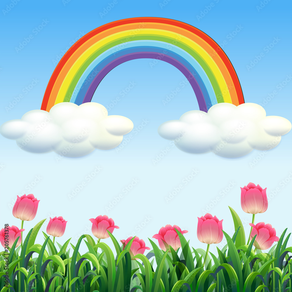 A Beautiful Flower Garden Scene A Beautiful Flower Garden Scene
