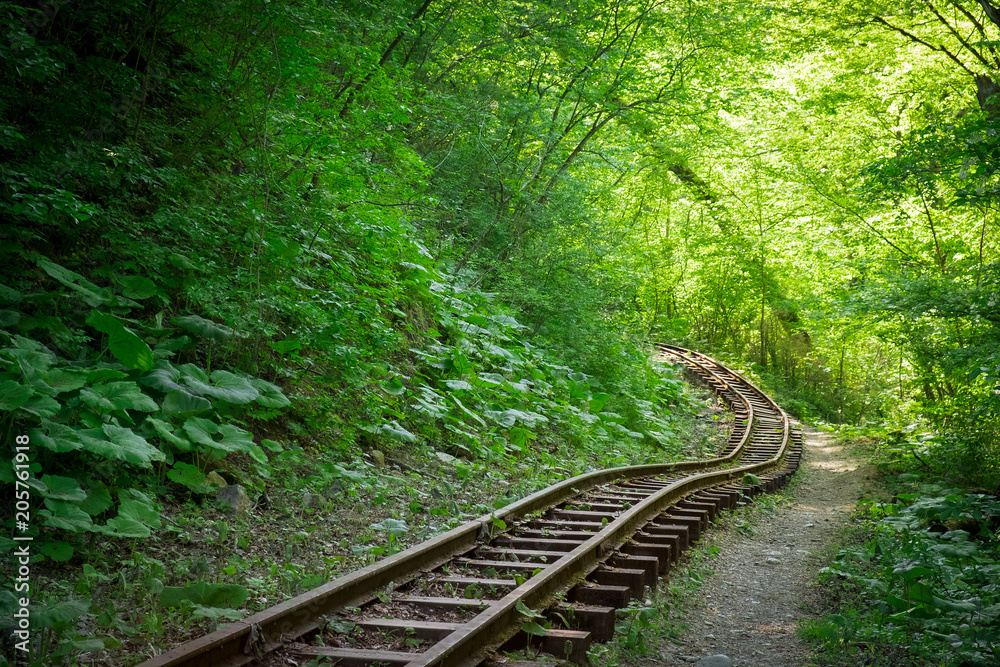 old narrow-gauge railway in the forest in summer overgrown with plants and grass in the Guam gorge of Adygea, the Caucasus old narrow-gauge railway in the forest in summer overgrown with plants and grass in the Guam gorge of Adygea, the Caucasus