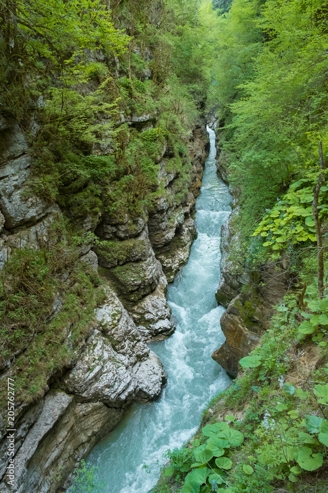mountain river flows into the gorge in summer surrounded by green trees background