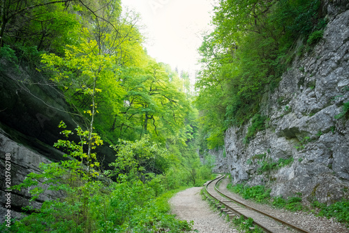 old narrow-gauge railway under a rock in the mountains among the trees, the Guam gorge of Adygea, the Caucasus