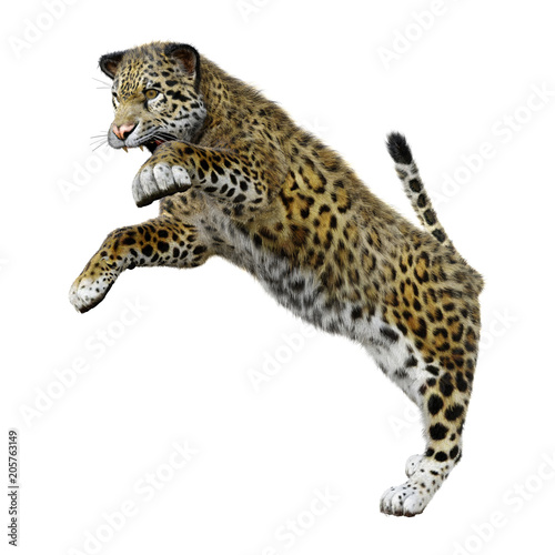 3D Rendering Big Cat Jaguar on White