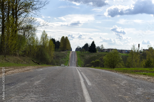 the track through the trees photo