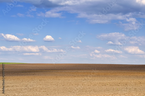 plowed field and sky