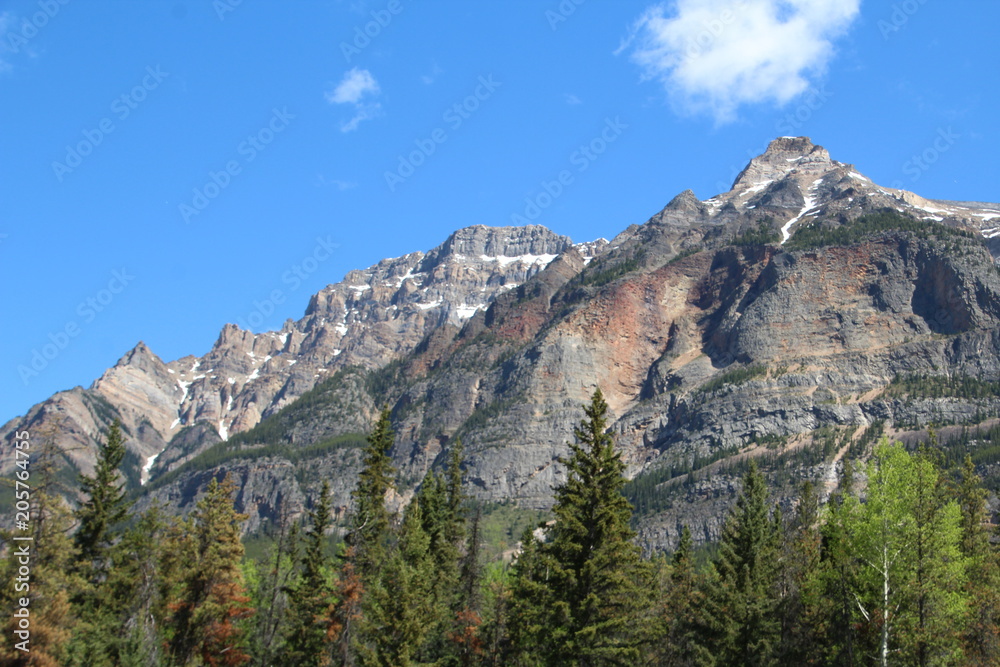 Grand Mountains By Icefields Parkway, Jasper National Park, Alberta