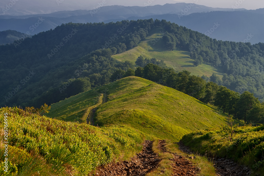 Fototapeta premium The road in the Carpathian mountains. Ukraine.