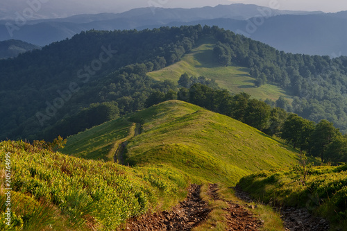 The road in the Carpathian mountains.  Ukraine. photo