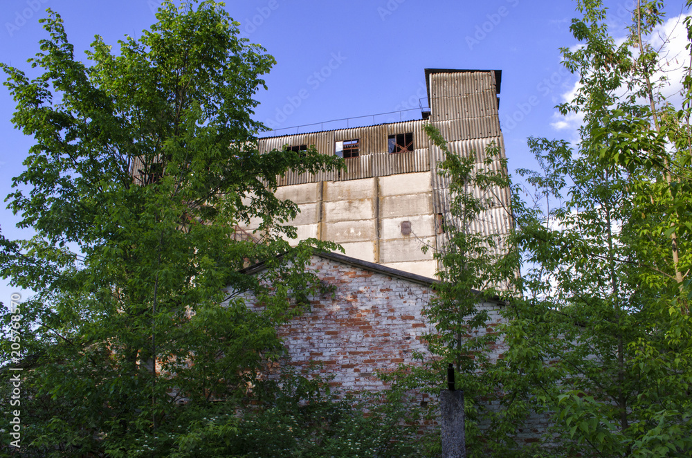 an abandoned building in the summer
