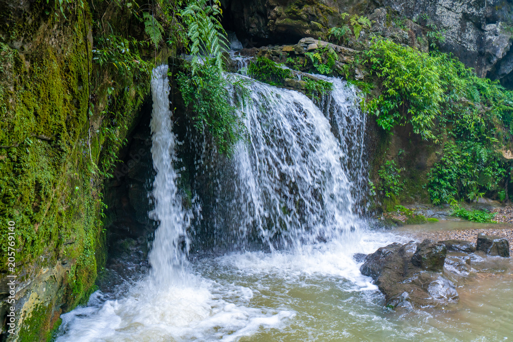 A stream waterfall in a forest in the mountains