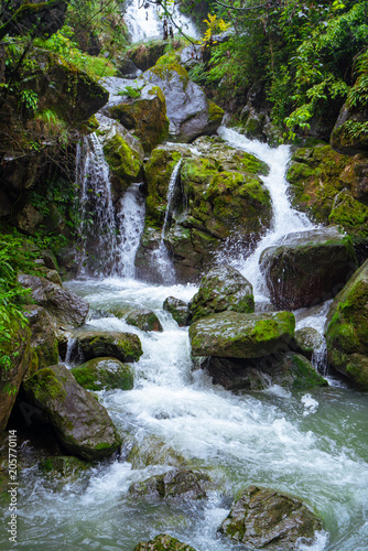 A stream waterfall in a forest in the mountains