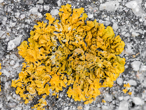 Wall with moisture and fungi