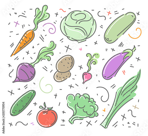 Fototapeta Naklejka Na Ścianę i Meble -  Set of vector vegetable icons in flat style. Vector illustration. 