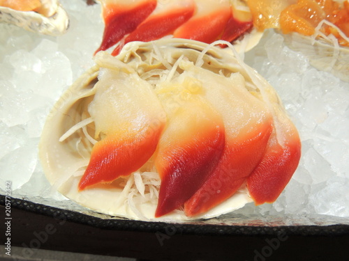 ホッキ貝