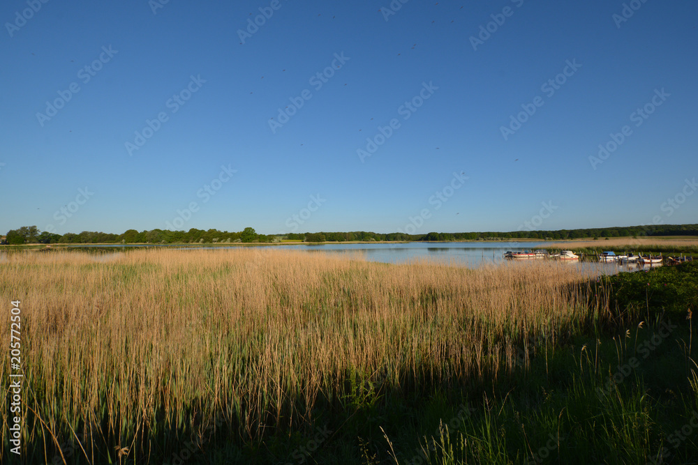 Fischerboote am Rügischer Booden, Einmündung Wreecher See - Putbus auf Rügen