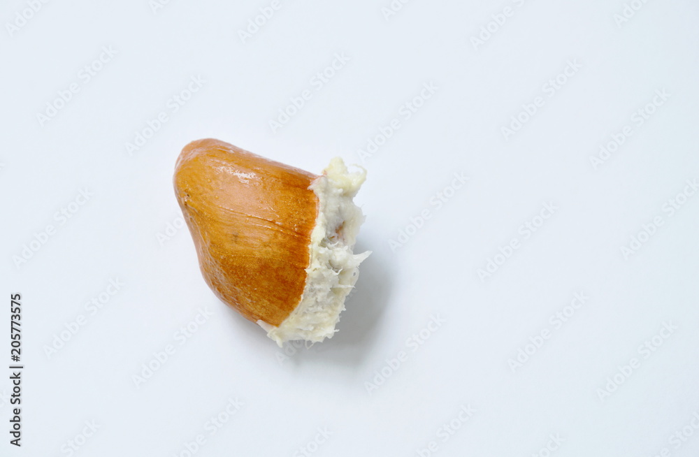 durian seed on white background