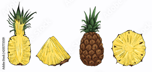 Pineapple vector set, whole and sliced
