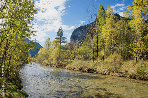 wilder Ammer Fluss Nähe Oberammergau mit üppiger Vegetation