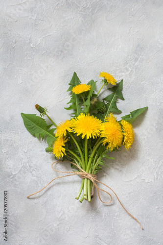 Bouquet of fresh yellow dandelion on light background. Copy space .Top view.