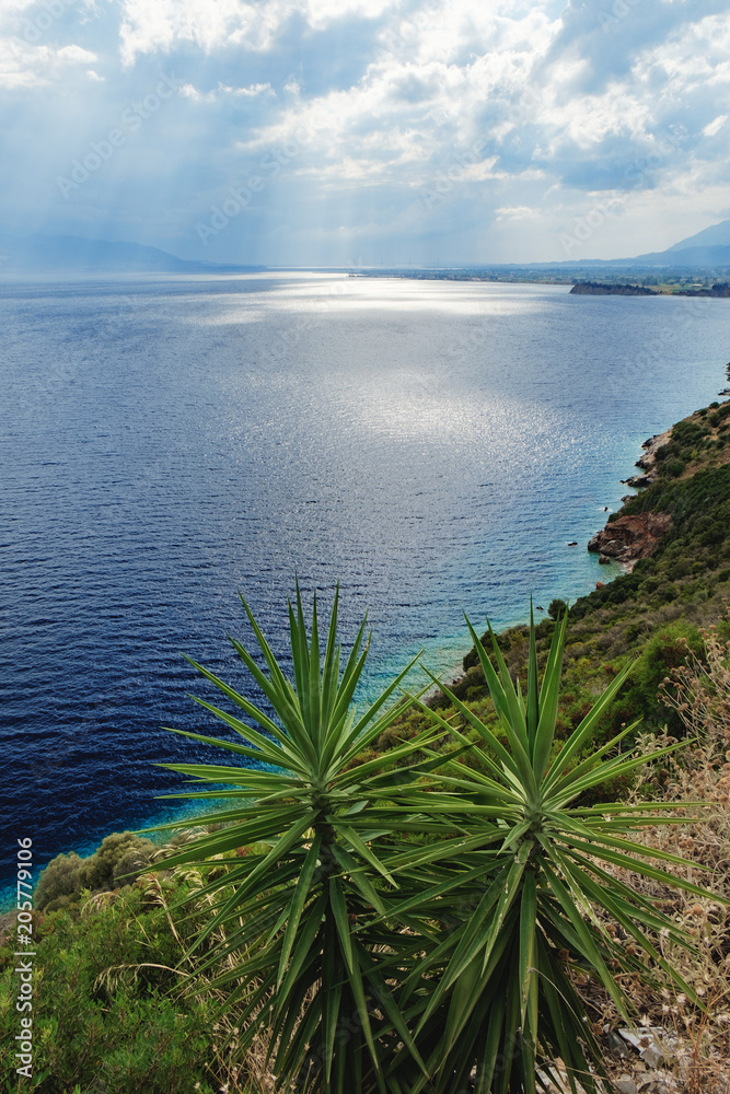 Top view of grass and bushes growing on the rocky shore of the Gulf of Corinth in Greece. Natural background with bright blue water and green slope