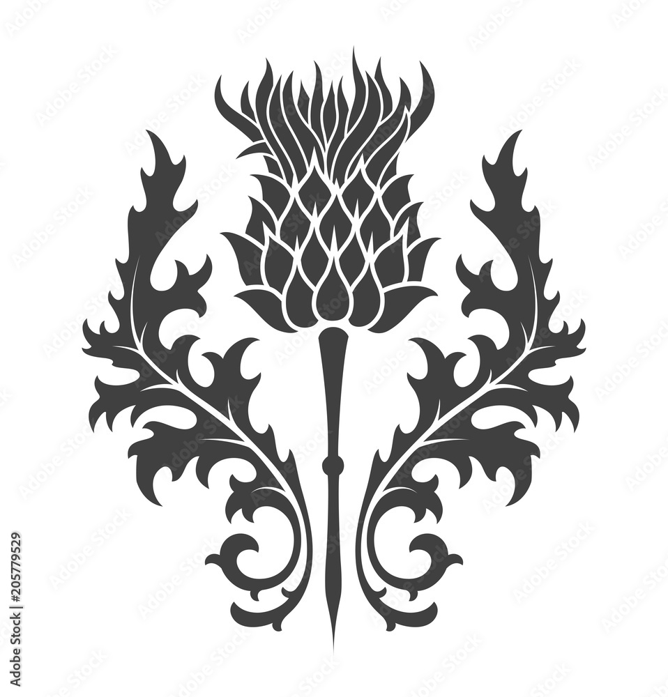 thistle, heraldic symbol of Scotland Stock Vector Adobe Stock