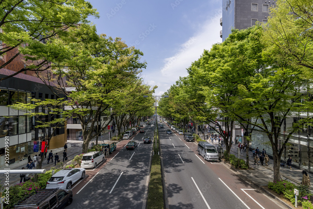 Beautiful view of Omotesando street from an overpass, Tokyo Japan
