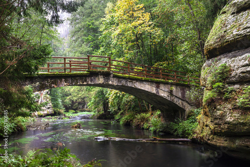 Old bridge in the forest at the rocks