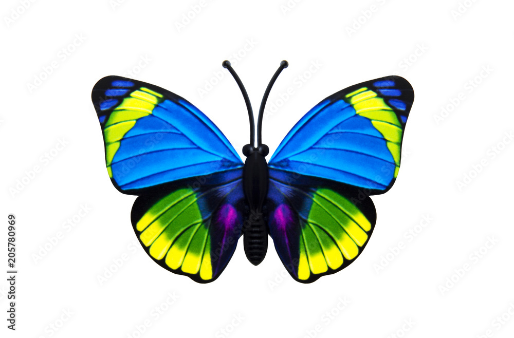 Beautiful colored butterfly Beautiful colored butterfly