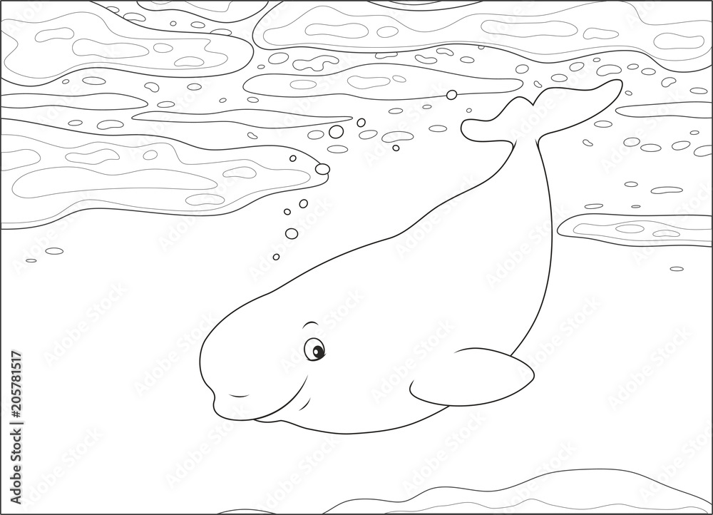 Beluga whale swimming among drifting ice floes in a polar sea, black and  white vector illustration in a cartoon style for a coloring book Stock  Vector | Adobe Stock