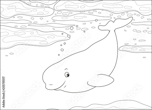 Beluga whale swimming among drifting ice floes in a polar sea, black and white vector illustration in a cartoon style for a coloring book