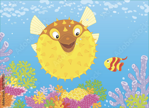 Exotic puffer fish and a small butterflyfish swimming among colorful corals on a reef in a tropical sea, vector illustration in a cartoon style