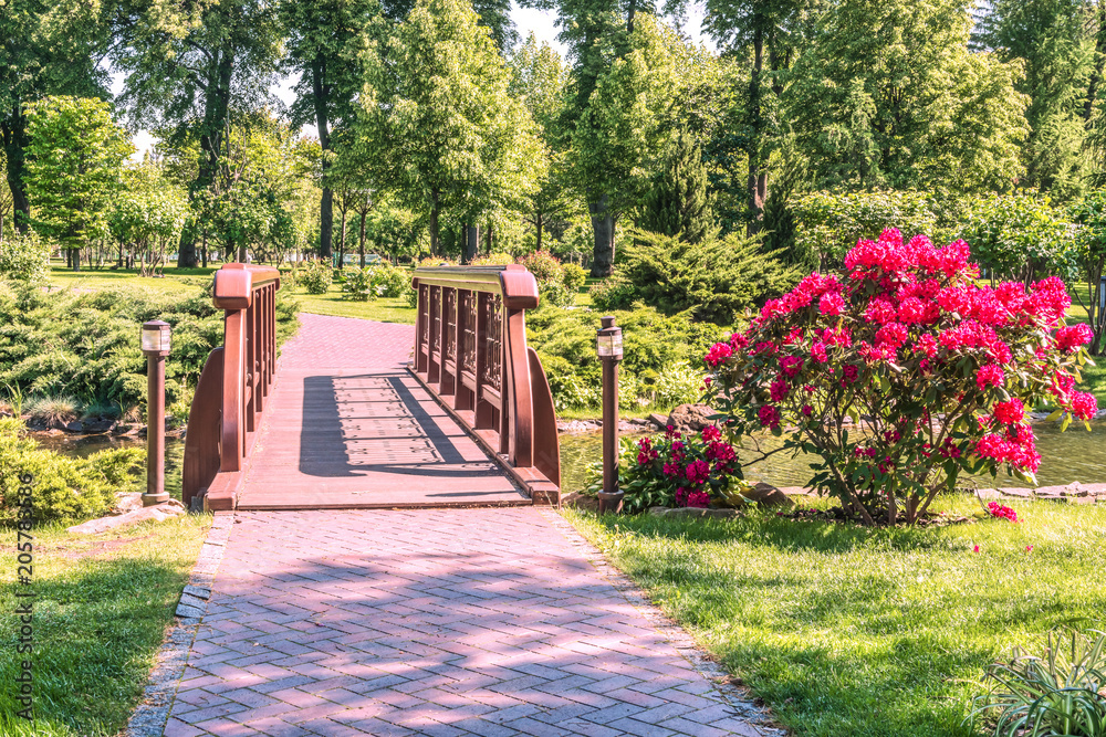 A small bridge across the lake in Mezhigirya Park near Kiev. The flowering bush of the rhododendron, a fragment of the lake and beautiful vegetation on the shore.