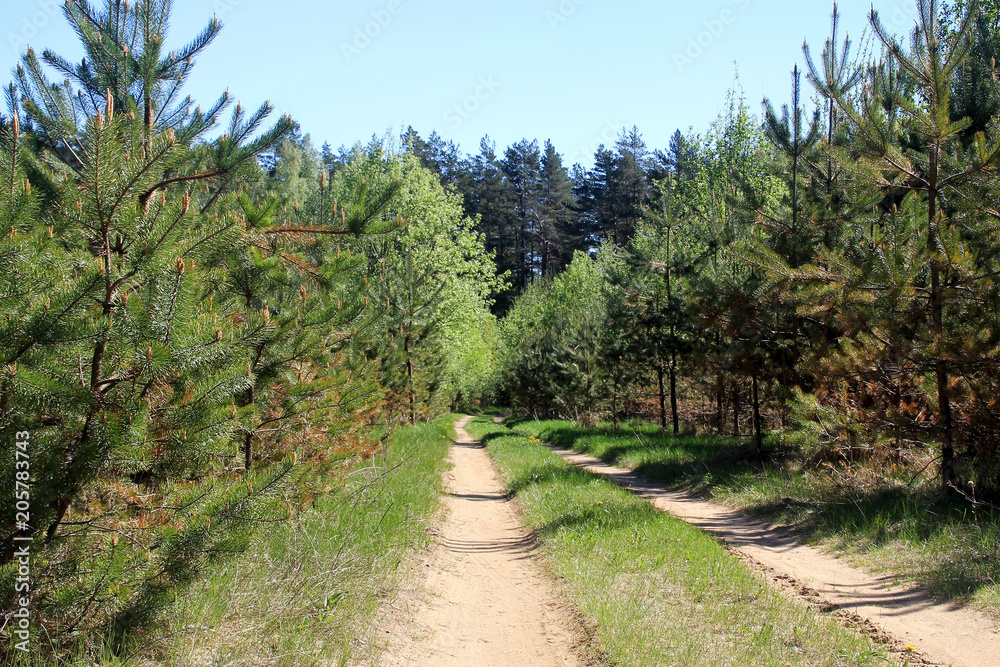 Country dirt road Country dirt road