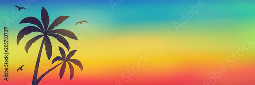 Tropical palms on colourful background - summer banner with copyspace. Vector.